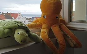 Detente Sur La Cote D'Opale